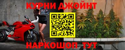 молекула духа Камышлов