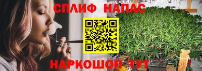 молекула духа Камышлов