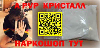 молекула духа Камышлов