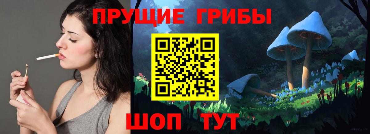 Галлюциногенные грибы Psilocybe Карасук